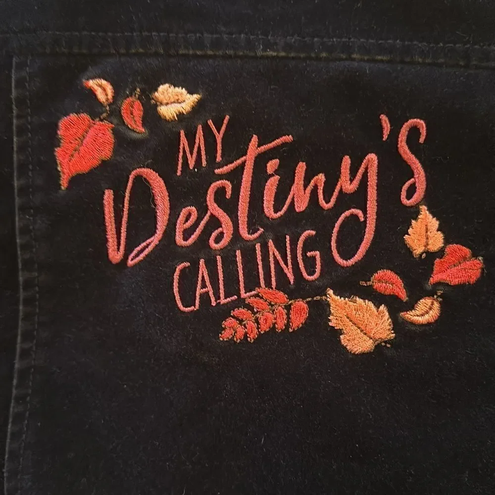 Disney Frozen II Girls Biker Jacket Velvet Elsa Size 3T Navy Blue